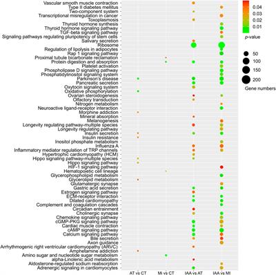 Transcriptomic dissection of termite gut microbiota following entomopathogenic fungal infection